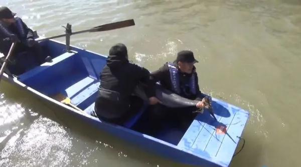 The first case in China, this finless porpoise was rescued!