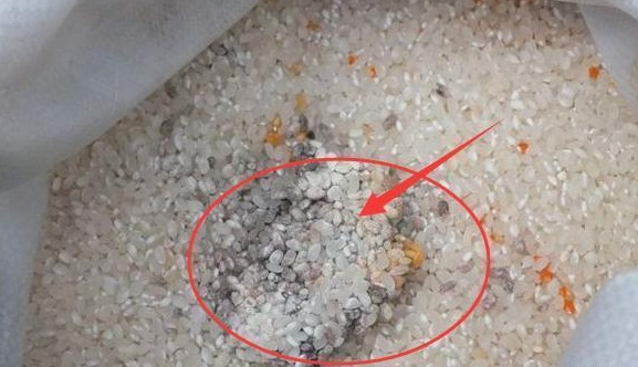 1 mg is carcinogenic! This "scourge" can be seen everywhere. ......